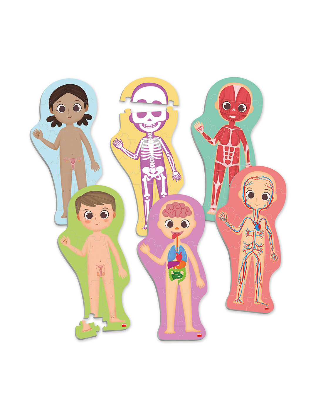 Objev tajemství lidského těla