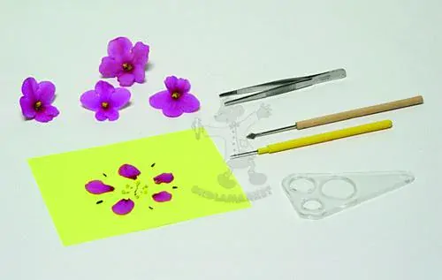 Multioborová sada rostliny, živočichové a biotopy