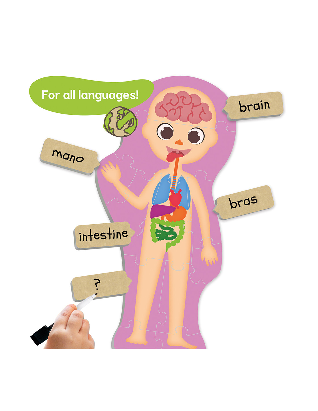 Objev tajemství lidského těla