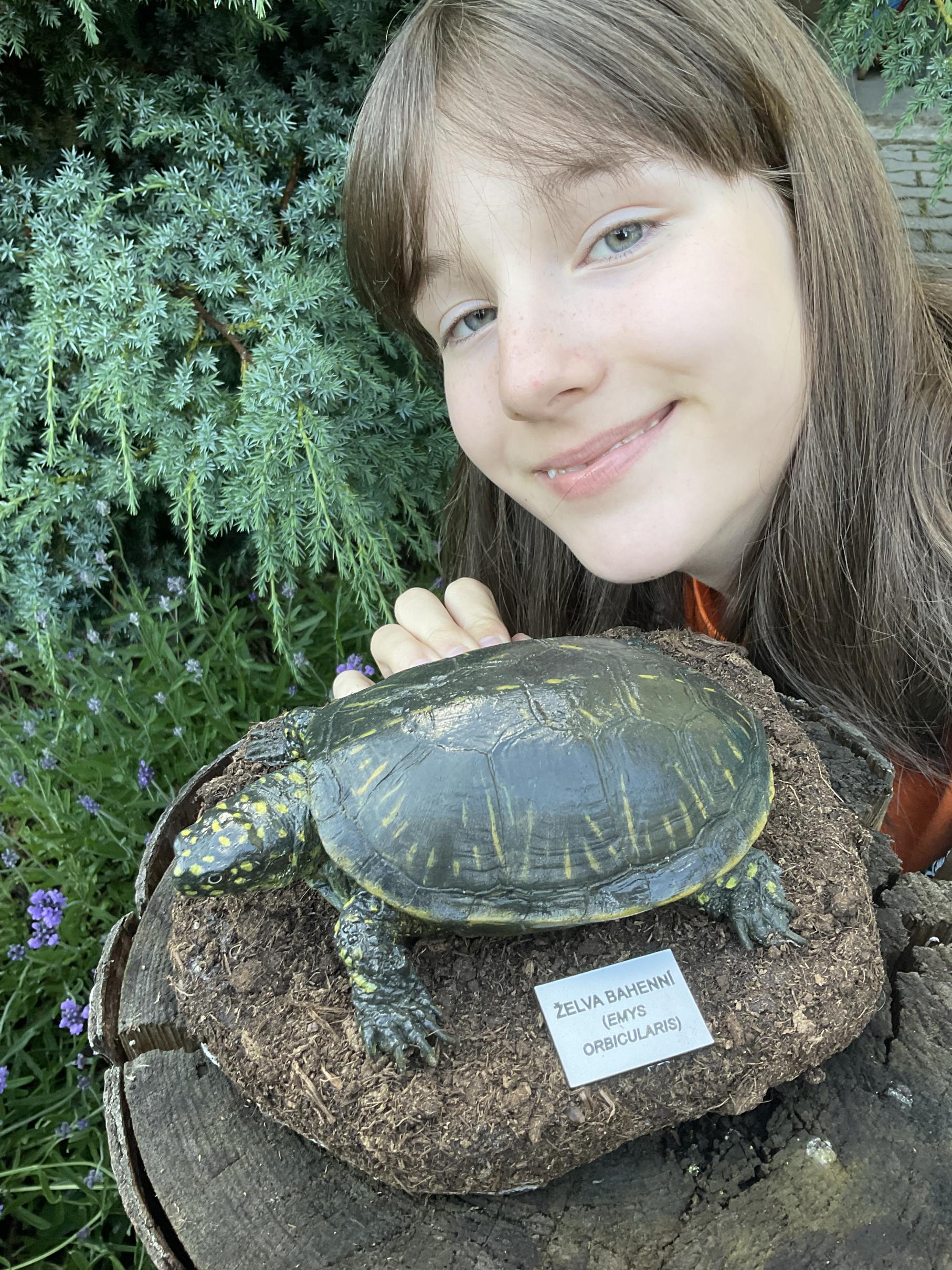 Želva bahenní - model